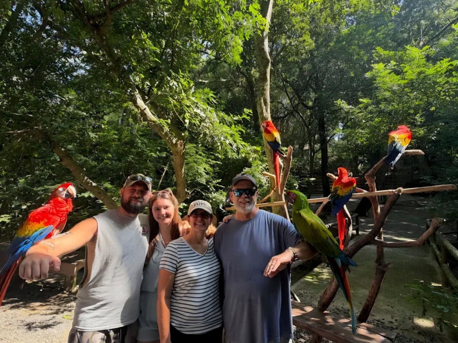 Real customer photo from Nahomy Tours - Macaw & Exotic Bird Encounter + Roatán Cultural Tour - Item 1