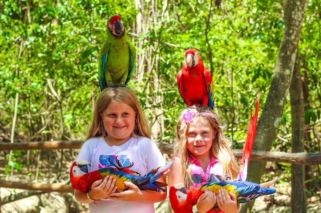 Real customer photo from Nahomy Tours - Macaw & Exotic Bird Encounter + Roatán Cultural Tour - Item 2