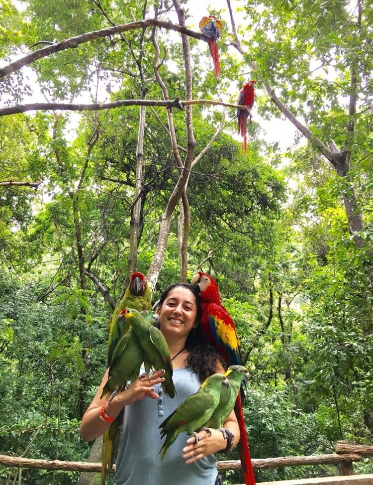 Real customer photo from Nahomy Tours - Macaw & Exotic Bird Encounter + Roatán Cultural Tour - Item 3