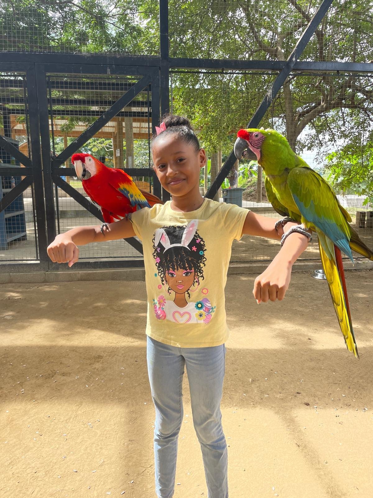Real customer photo from Nahomy Tours - Macaw & Exotic Bird Encounter + Roatán Cultural Tour - Item 4