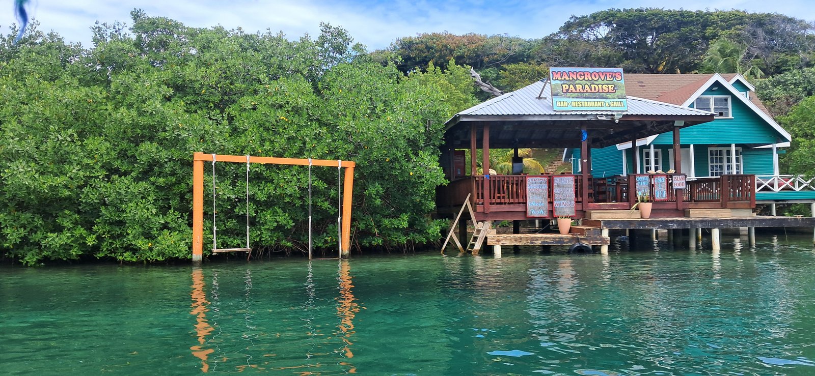 Real customer photo from Nahomy Tours - Roatán Eco-Adventure: Mangroves, Turtles & Snorkeling - Item 1