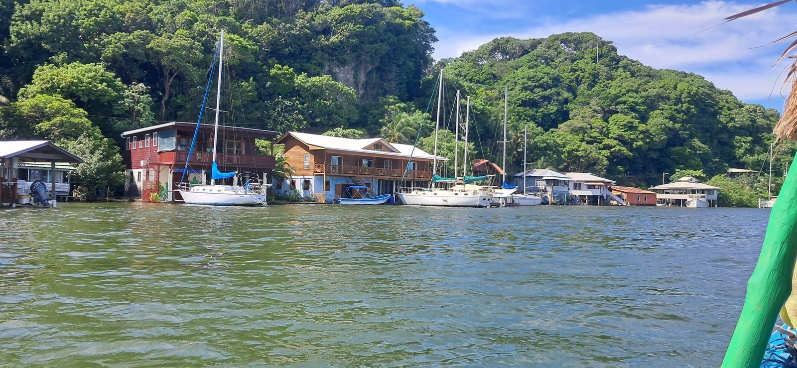 Real customer photo from Nahomy Tours - Roatán Eco-Adventure: Mangroves, Turtles & Snorkeling - Item 3