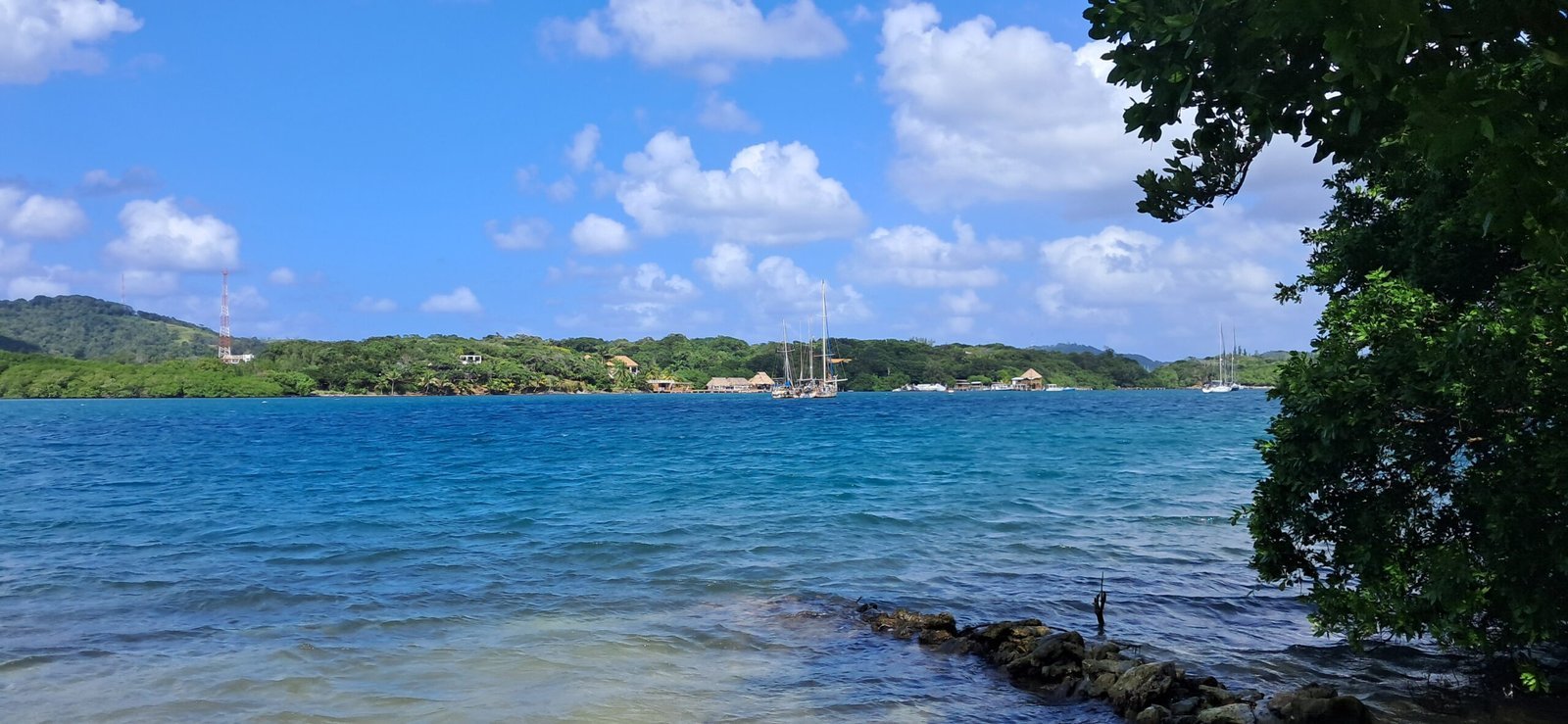 Real customer photo from Nahomy Tours - Roatán Eco-Adventure: Mangroves, Turtles & Snorkeling - Item 5