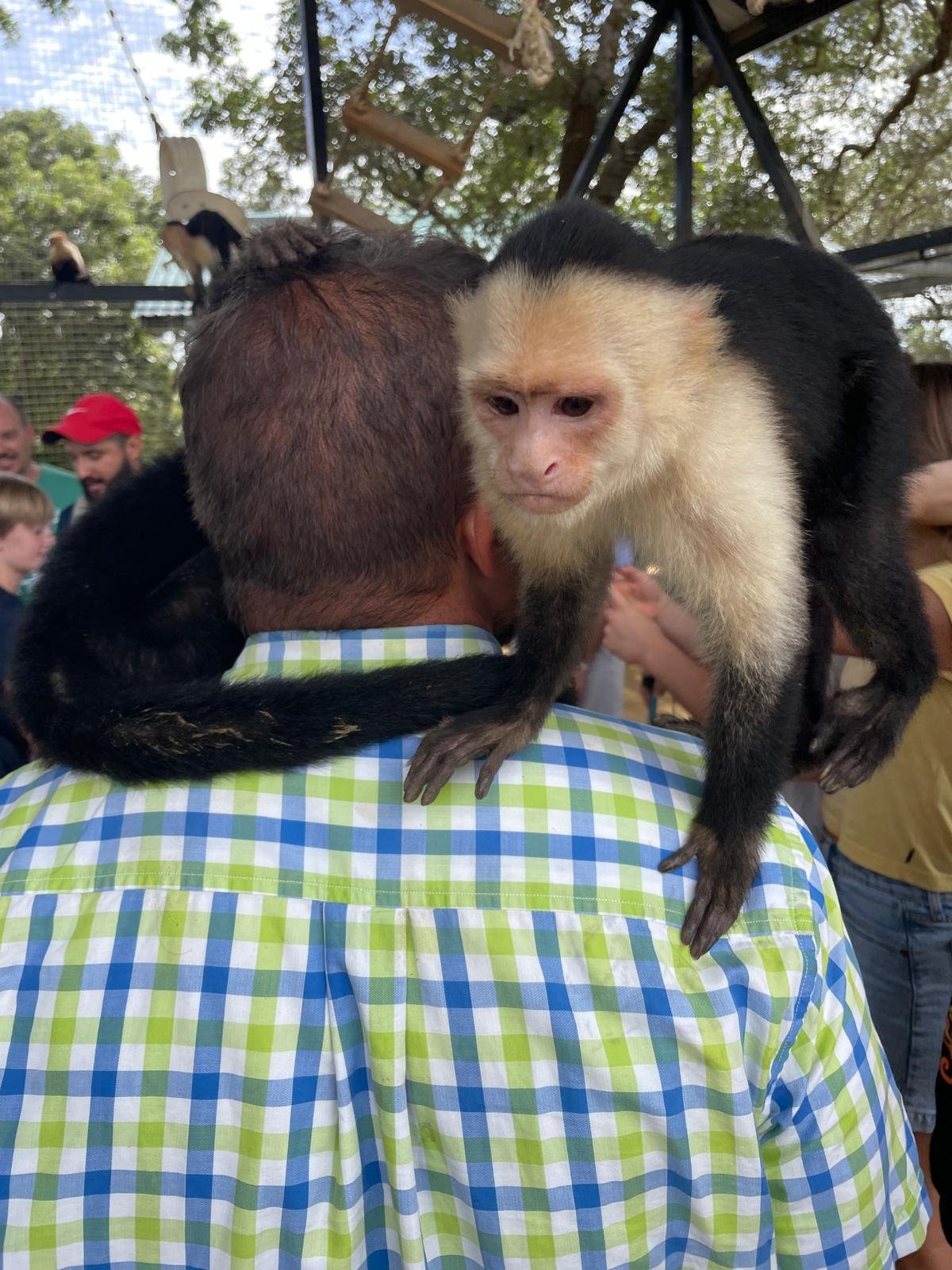 Real customer photo from Nahomy Tours - Monkeys, Sloths, Culture and West Bay Beach - Item 4