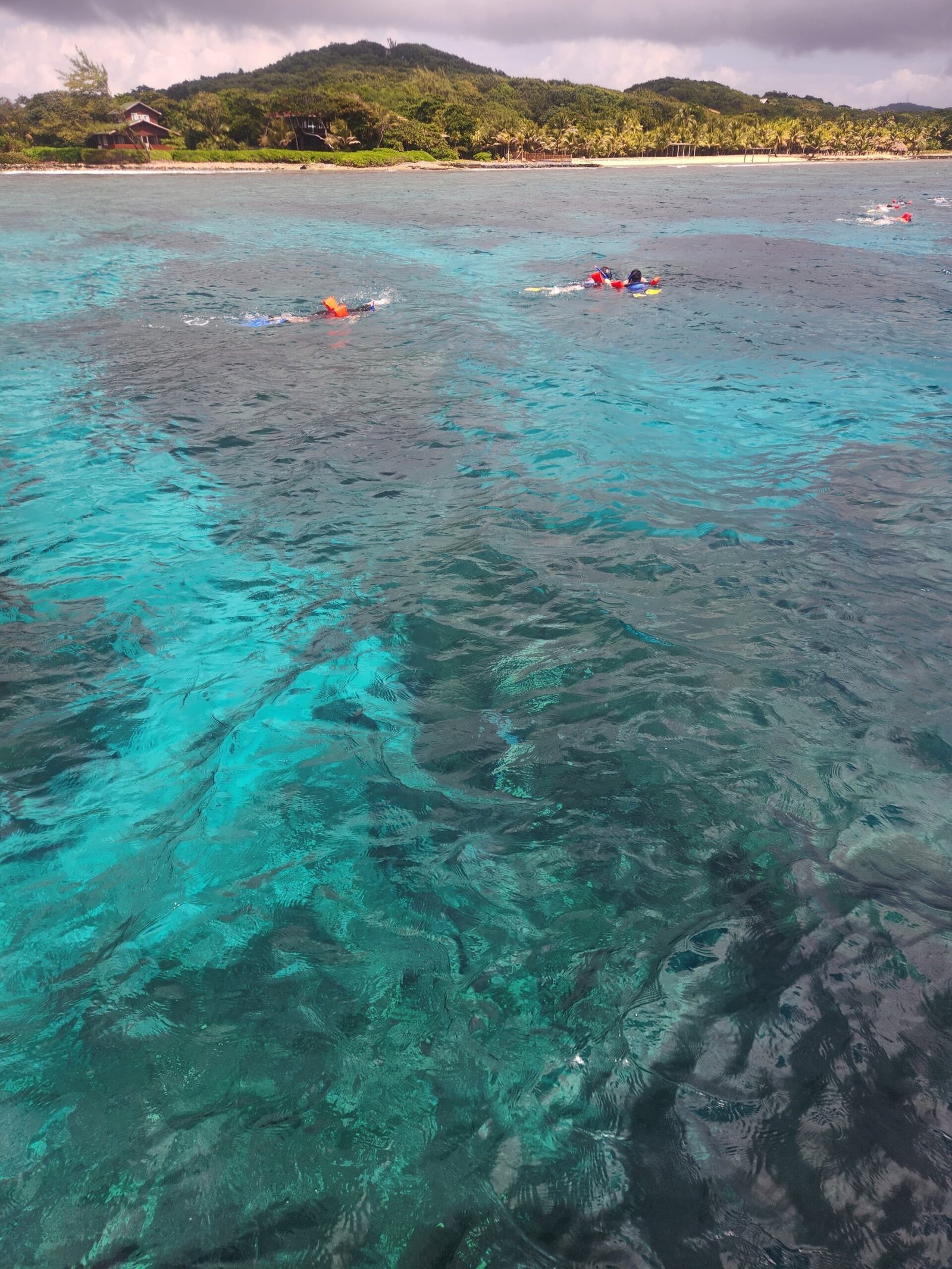 Real customer photo from Nahomy Tours - Snorkeling Adventure in the Roatán Reef - Item 4