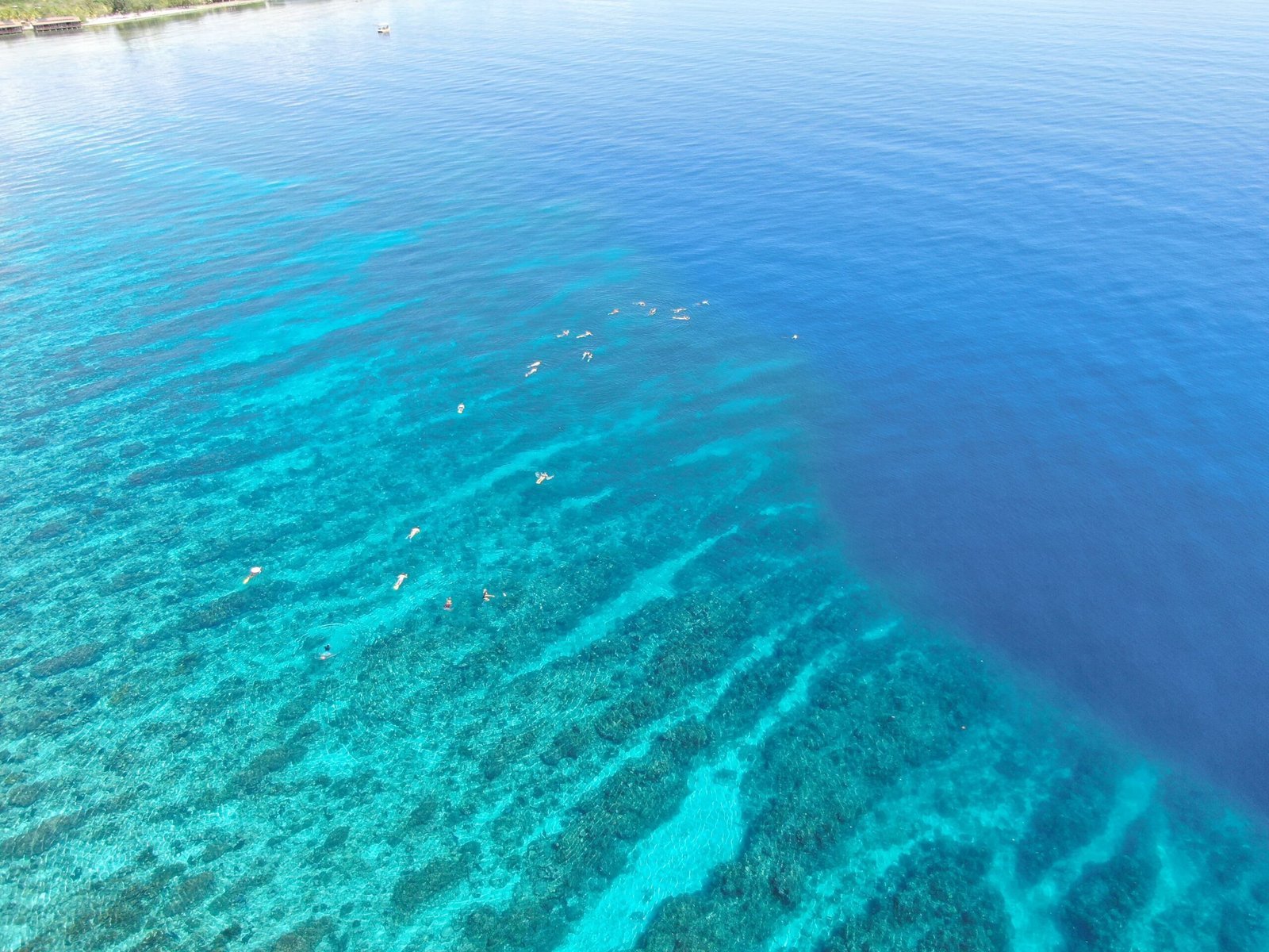 Real customer photo from Nahomy Tours - Snorkeling Adventure in the Roatán Reef - Item 11