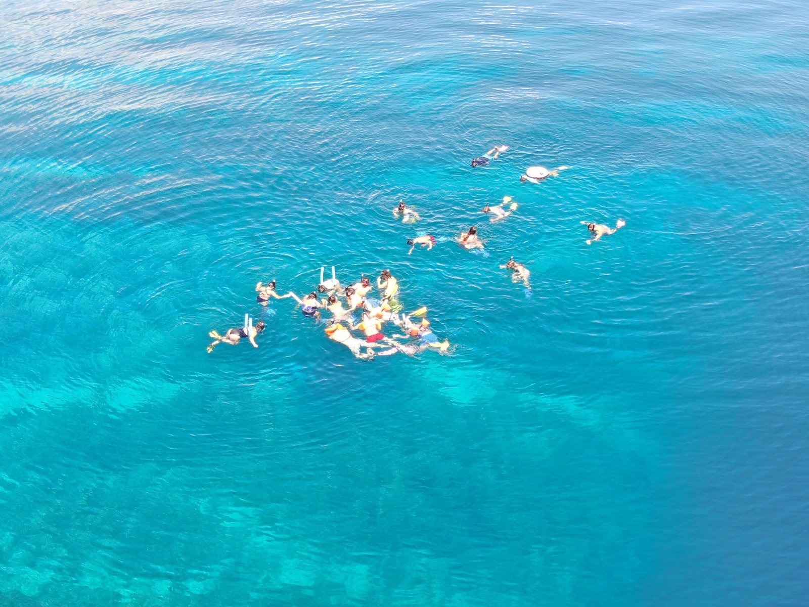 Real customer photo from Nahomy Tours - Snorkeling Adventure in the Roatán Reef - Item 12