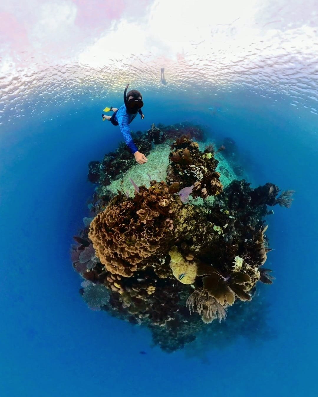 Real customer photo from Nahomy Tours - Snorkeling Adventure in the Roatán Reef - Item 19
