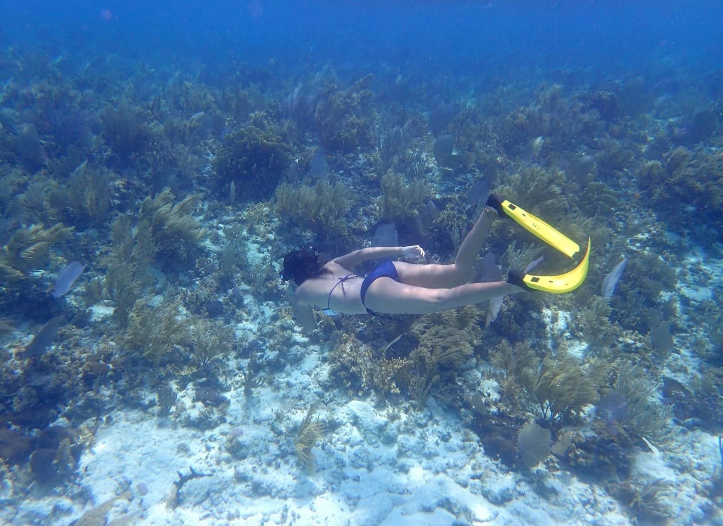 Real customer photo from Nahomy Tours - Snorkeling Adventure in the Roatán Reef - Item 20
