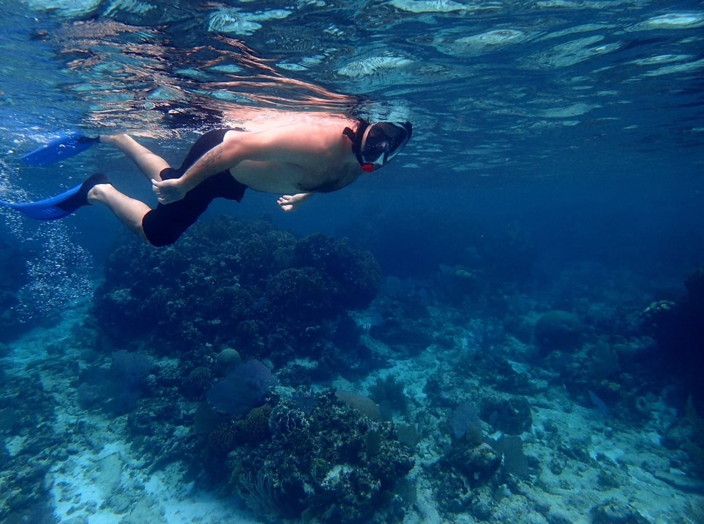 Real customer photo from Nahomy Tours - Snorkeling Adventure in the Roatán Reef - Item 24