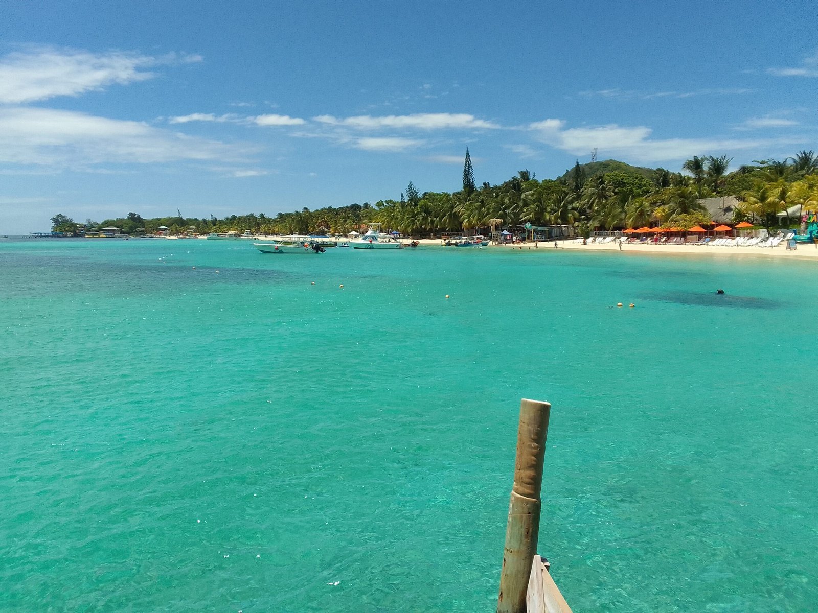 Real customer photo from Nahomy Tours - West Bay Beach Day with Lunch Included - Item 9
