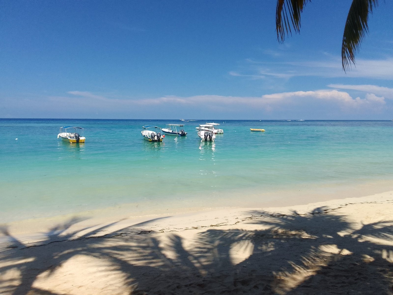 Real customer photo from Nahomy Tours - West Bay Beach Day with Lunch Included - Item 11